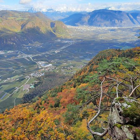 Tinnerhof Appiano Sulla Strada Del Vino Eksteriør bilde