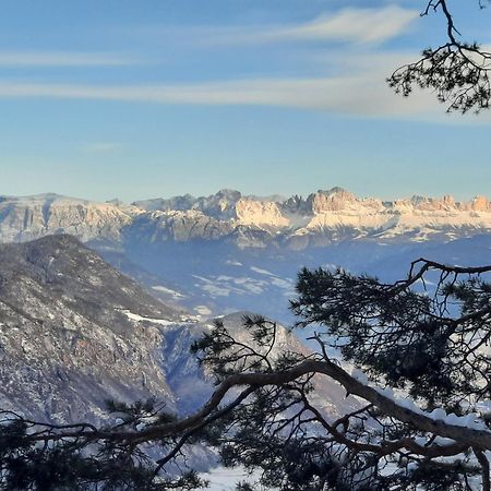 Tinnerhof Appiano Sulla Strada Del Vino Eksteriør bilde