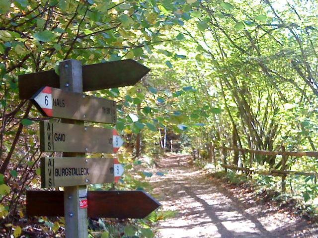 Tinnerhof Appiano Sulla Strada Del Vino Eksteriør bilde